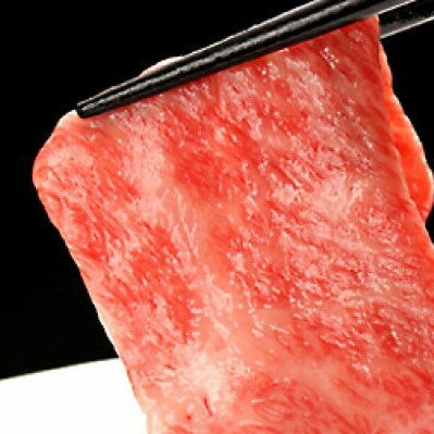【ふるさと納税】飛騨牛最高級5等級サーロイン本格すき焼き用厚切り 600g 飛騨市推奨特産品 和牛 肉 熨斗掛け すきやき スキヤキ 飛騨牛 岐阜県 飛騨市 サーロイン すき焼き 鍋 冬 [H0001]