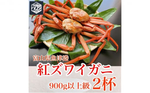 魚卸問屋のベニズワイガニ 900g級以上×2杯 はりたや ※2023年10月上旬〜2024年5月下旬頃に順次発送予定 ※北海道・沖縄・離島への配送不可◇