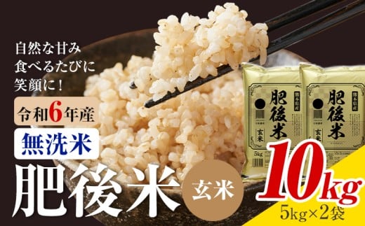 熊本県産 肥後米 無洗米 玄米 10kg 1袋5kg 米 お米 令和6年産 九州産 熊本県産 送料無料【30日以内に出荷予定（土日祝除く）】玄米 無洗米 米