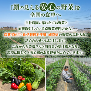 ＜京野菜の京都やおよし＞丹波野菜詰め合わせ 牛乳 野菜 国産 野菜