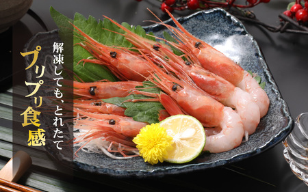 新鮮美味！ 甘エビ(船凍甘エビ 大サイズ)約1kg おいしいたまり醤油付【えび エビ 海老 甘えび 海鮮 お造り 刺身 おせち 海鮮丼 生食 急速冷凍 福井】[m21-b008]