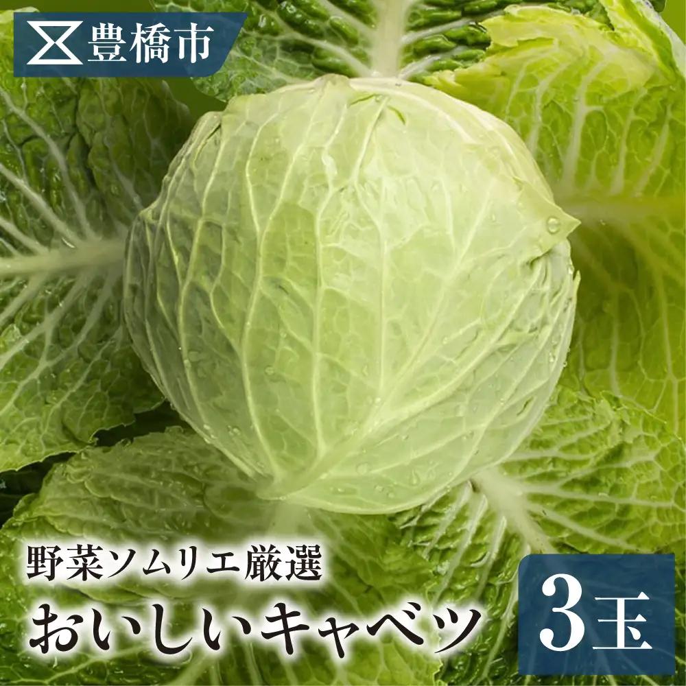 《先行予約》豊橋市産 キャベツ 3玉（計3.5kg） 産地直送