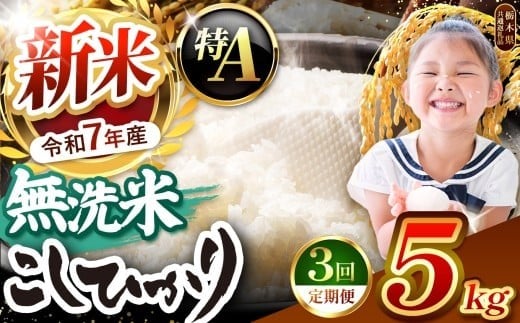 【令和7年度新米先行予約】栃木県産コシヒカリ 無洗米 5kg 定期便3回 【栃木県共通返礼品】| 定期便 お米 米 こめ 洗米 新米 無洗米 コシヒカリ こしひかり 美味しい お弁当 選べる ふるさと 納税 栃木県 矢板市