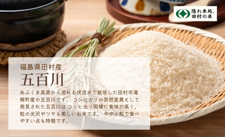 【新米】 ＼ 先行予約開始／ 【無洗米】令和7年産 五百川 5kg 9月下旬発送 農家直送 お米 贈答 美味しい 米 kome コメ ご飯 特A ランク 一等米 単一米 精米 玄米 国産 福島県 田村