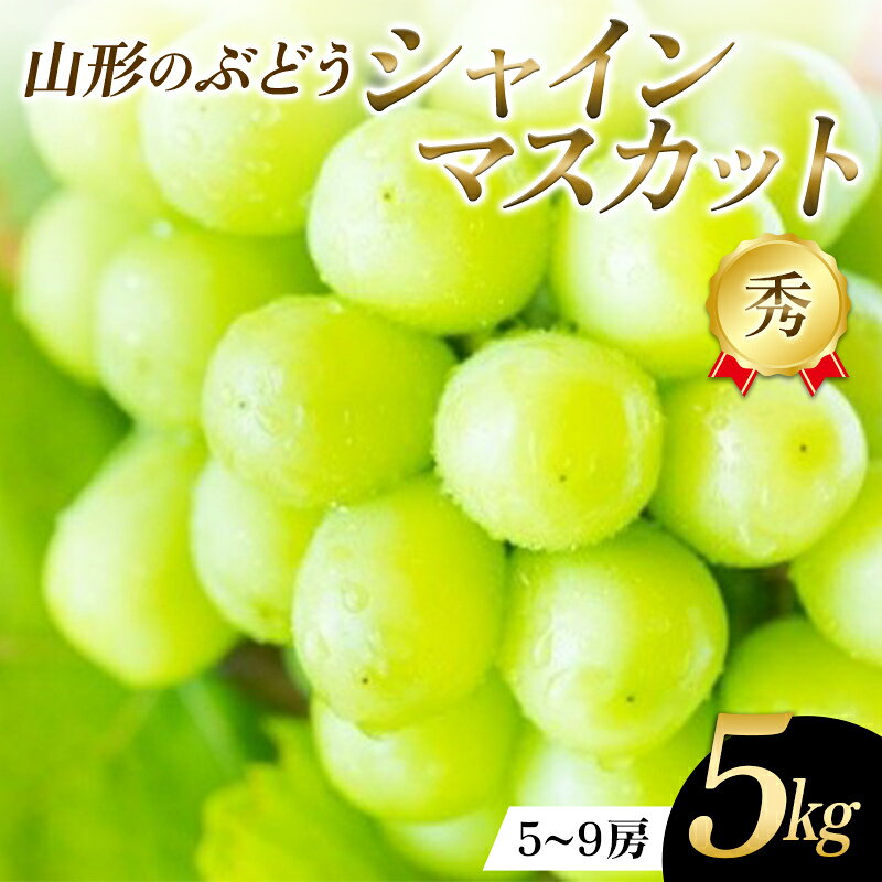 【ふるさと納税】 山形県産 ぶどう シャインマスカット 5kg FSY-2775