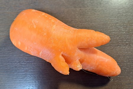 [産地直送！訳あり] 加藤農園の甘楽町産にんじん 10kg｜訳あり品 人参 ニンジン 野菜 キャロット 国産 新鮮 農家直送 産地直送 煮物 かき揚げ 甘楽町 数量限定 期間限定 [0318]