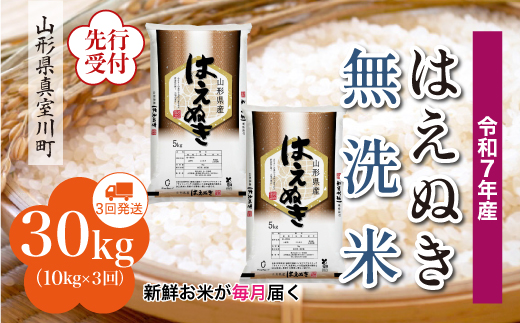 
            ＜令和7年産米先行受付＞ 真室川町産 はえぬき 【無洗米】 定期便 30kg （10kg×1ヶ月間隔で3回お届け）＜配送時期指定可＞
          