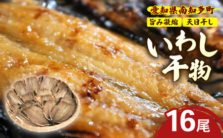 訳あり いわし 干物 16尾 天日干し 冷蔵