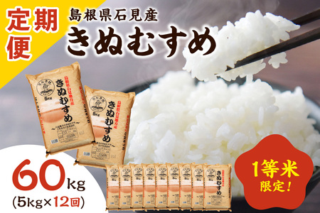  【令和6年産】石見産きぬむすめ 1年分 60kg 12ヶ月（5kg×12回コース）【定期便】 おいしさ自慢のお米 お取り寄せ 特産 お米 精米 白米 ごはん ご飯 コメ 【237】