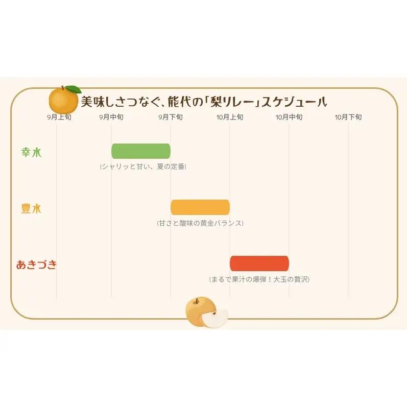 梨 豊水 果物 秋田県産 贈答用 梨【5kg 12〜14個入】