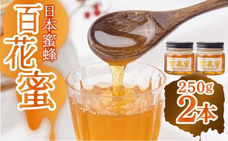 【長崎の純粋はちみつ】日本蜜蜂 百花蜜 250g×2本 ー2025年収穫分ー 長与町/ハチミツ屋はなまる  [ECD002] 純粋はちみつ 生はちみつ ハチミツ 国産 蜂蜜 天然 ハニー 非加熱