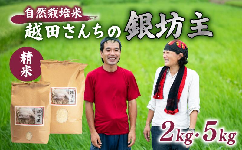 
                  米 銀坊主 （精米） 2kg 5kg 令和7年産 自然栽培米 甘さ 懐かしい希少 高級 数量限定 自然栽培 コシヒカリ の 親世代  農薬 肥料 不使用 お米 オコメ おこめ こめ 米 コメ 精米 石川 石川県 羽咋市 羽咋 能登 ※ hakumai 自然栽培米 【越田さんちの銀坊主】
                