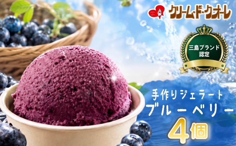 
                  ブルーベリー ジェラート 4個 アイス アイスクリーム じぇらーと スイーツ  ぶるーべりー ベリー  おやつ デザート ブランド クリーム・ド・クオーレ 伊豆 静岡県 三島市
                