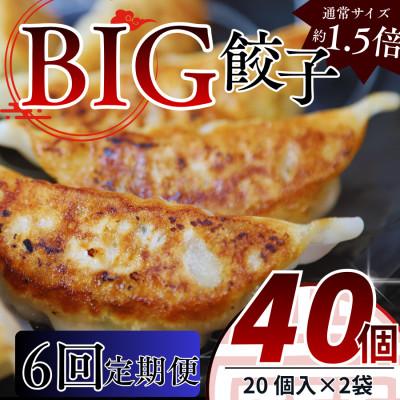ふるさと納税 真岡市 【毎月定期便】たじまやオリジナルビッグ餃子　40個(20個入×2袋)小分け　全6回