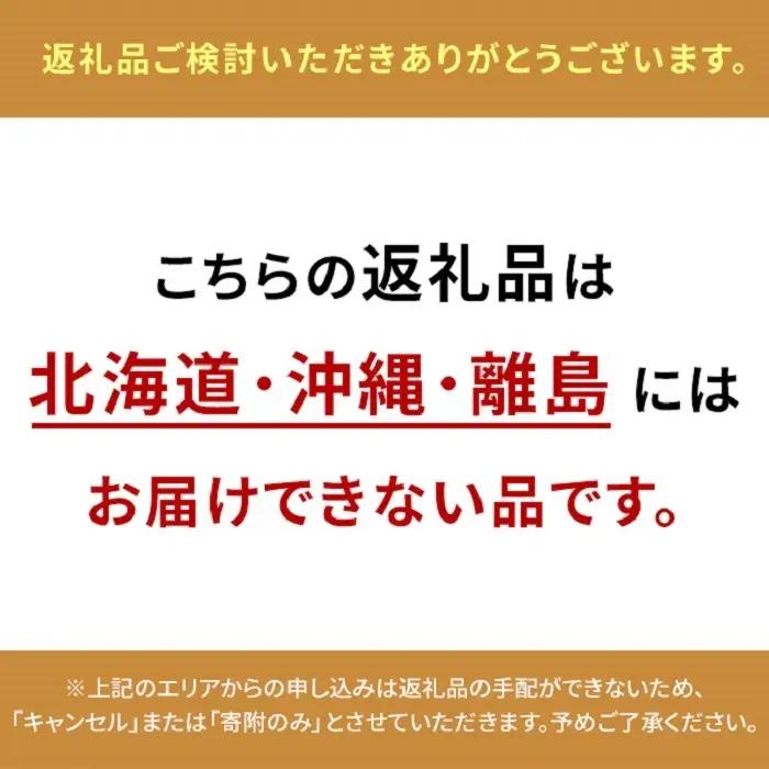 シャインマスカット 晴王 特大房 岡山県産 シャインマスカット【2房 計約2kg】【先行予約】