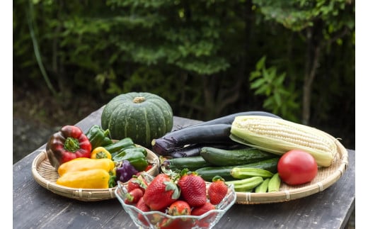 【毎月12回定期便】道の駅「虹の森公園まつの」産直市 新鮮野菜セット6種類以上＆特産品セット ◇