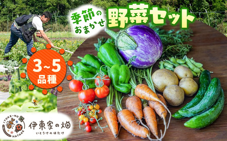 野菜セット(3～5品種) | 下野市 旬野菜 詰め合わせ 野菜セット 地元野菜 栃木県産 新鮮野菜 産地直送 野菜通販 季節野菜 地場野菜 お取り寄せ 下野市野菜 野菜詰合せ 農薬・化学肥料・動物性肥料不使用 地元農家 栃木野菜 栃木県 下野市