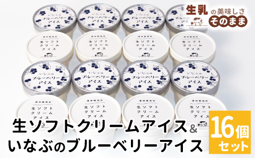 〈1週間以内発送〉南信州産の生乳を100％使用! 生ソフトクリームアイス & ブルーベリーアイス　(80ml)×16個セット 根羽村 ネバーランド 12000円