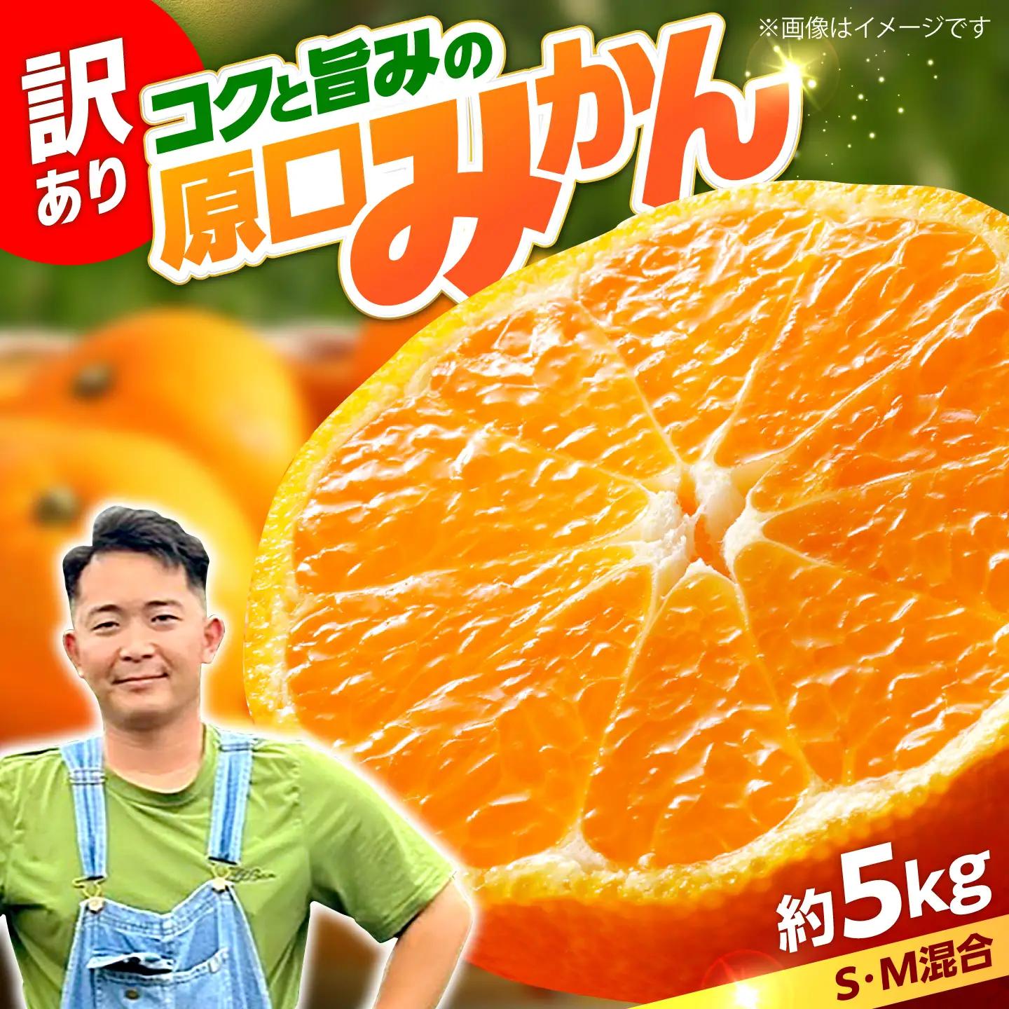 【数量限定】 【訳あり】 原口みかん 約5kg ＜田川農園＞[CGR002]