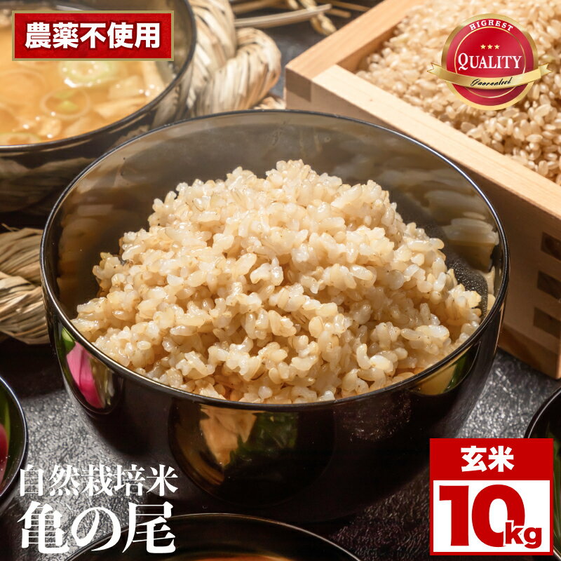 【ふるさと納税】 令和8年産 自然栽培米 亀の尾 玄米 10kg | 米 自然栽培 農薬不使用 玄米 亀の尾 銘柄米 幻の米 こめ ご飯 ごはん 長野県 飯田市 信州