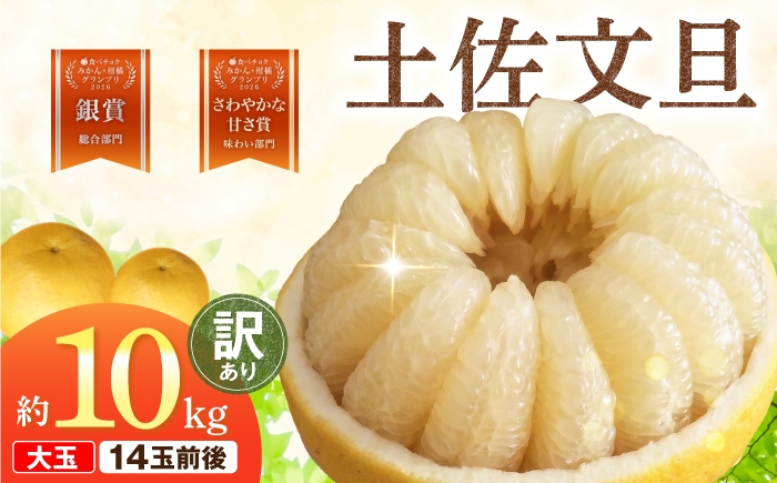 
                  【先行予約】文旦 家庭用大玉 10キロ 10kg（3Lサイズ以上～：14玉前後）〈2027年1月20日～発送〉皮むき器付き 訳あり 文旦 ぶんたん ブンタン 柑橘 フルーツ 大玉【土佐水谷農園】 [BQBD009]
                