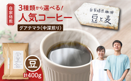 【自家焙煎】豆と麦 グアテマラ（豆） 計400g（200g×2袋） A017-018-01 コーヒー 珈琲 グアテマラ 豆 中深煎り 自家栽培珈琲 自家栽培 コク 甘味 豆と麦 自家焙煎珈琲豆と麦 ふるさと納税 鹿児島 奄美市 おすすめ ランキング プレゼント ギフト