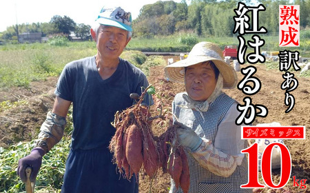 訳あり 熟成 紅はるか 10kg サイズミックス さつまいも 愛なんよ