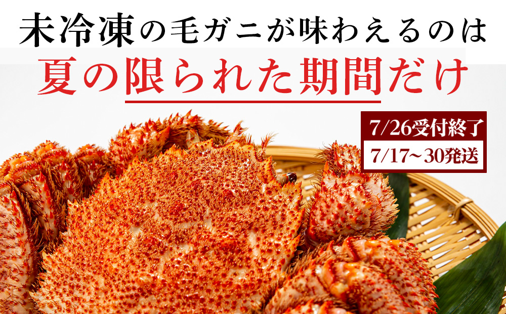 ★期間限定★ 浜ゆで！毛ガニ 約400g～450g×2尾 チルド配送 7/17~7/30発送【斉藤水産】 北海道 冷蔵 チルド 毛蟹 カニ かに 白老 前浜