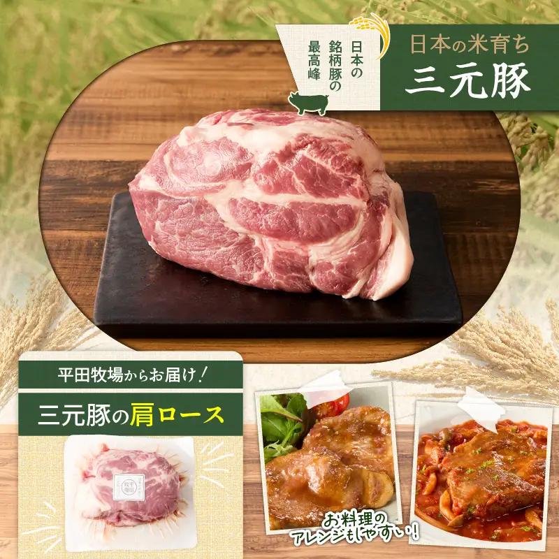 【 全12回 毎月 定期便 】 日本 の 米育ち 平田牧場 三元豚 肩ロース ブロック 600g T036-T10-03 肉 豚肉