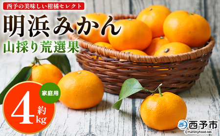 【先行予約】＜西予の美味しい柑橘セレクト（ご家庭用）／明浜みかん 山採り 荒選果（約4kg）＞ 果物 くだもの フルーツ 蜜柑 みかん ミカン 柑橘 ご家庭用 温州みかん 食べて応援 国産 愛媛県産 特産品 西予みかん倶楽部 愛媛県 西予市『2026年11月中旬から2027年1月中旬迄に順次出荷予定』【常温】OMC0015