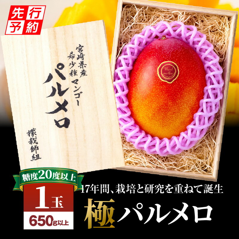 【ふるさと納税】【先行予約】《2025年発送》期間限定 数量限定 宮崎県産 希少種 マンゴー (極) パルメロ 650g以上 糖度 20度以上 1玉入り 希少 芳醇 極上 甘味 幻の逸品 農家直送 自然落果 完熟マンゴー オススメ フルーツ お取り寄せ 宮崎県 《レビューキャンペーン》