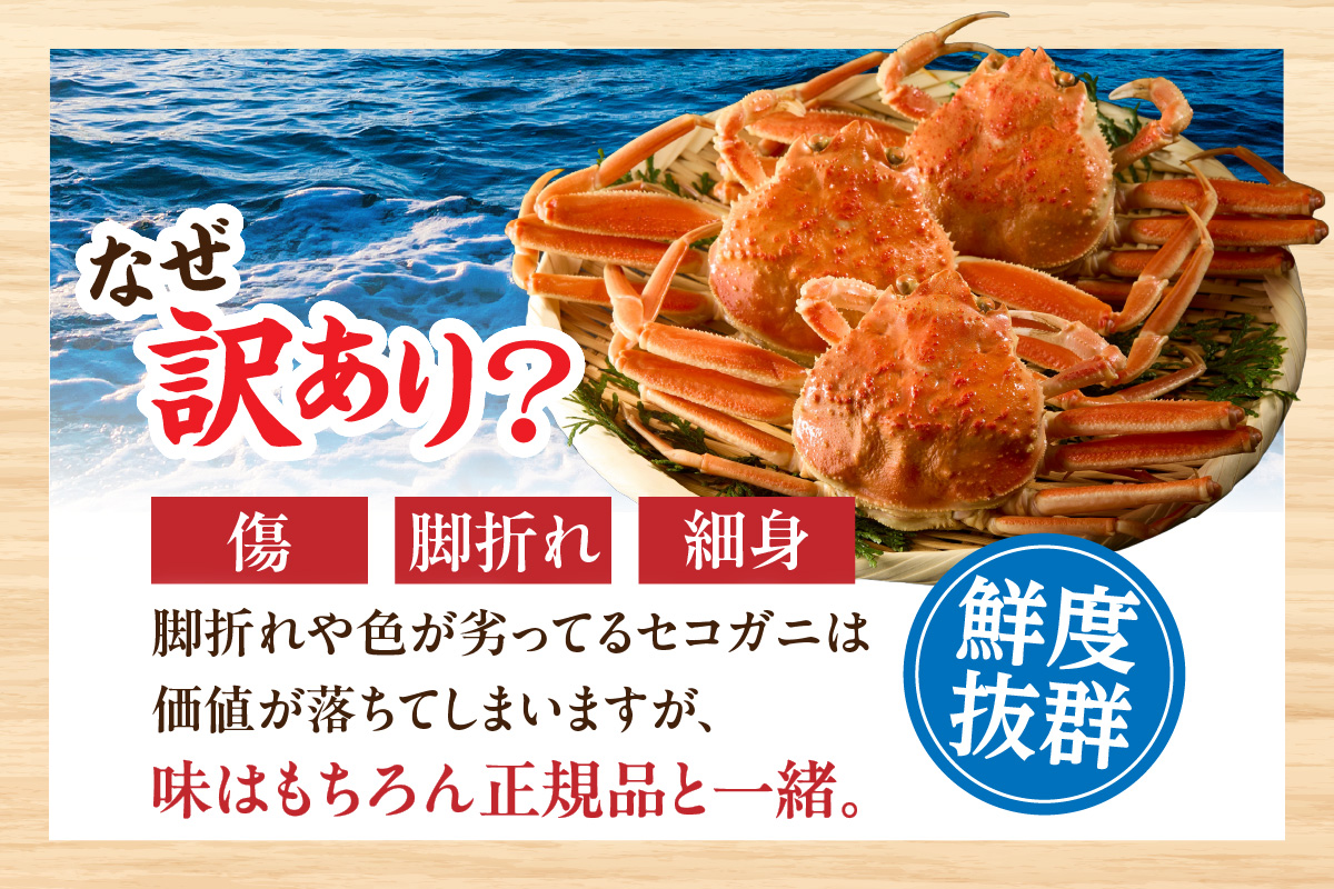 【訳あり セコガニ 約120g×8匹 釜茹で ボイル 冷凍】 国産 カニ かに 蟹 松葉がに せいこがに メスガニ 親ガニ 濃厚 かにミソ かにみそ 蟹味噌 やみつき 内子 外子 絶品 産地直送 絶妙
