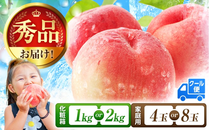 
                  【★先行予約★ 2027年5月下旬より発送】もも 化粧箱入り 約1.0kg/約2.0kg 化粧箱なし 4玉/8玉 桃くだもの 果物  もも モモ ふるーつ もも 桃 フルーツ 桃 もも モモ 桃 旬 甘い 選べる momo fruit 贈答 ギフト 贈り物 おすすめ 桃 デザート 産地直送 もも 桃 モモ 福岡県産 広川町 / JAふくおか八女農産物直売所どろや[AFAB011/AFAB062]
                