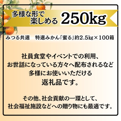 特選みかん「蜜る」計250kg(約2.5kg×100箱)【H08−86】【1510469】