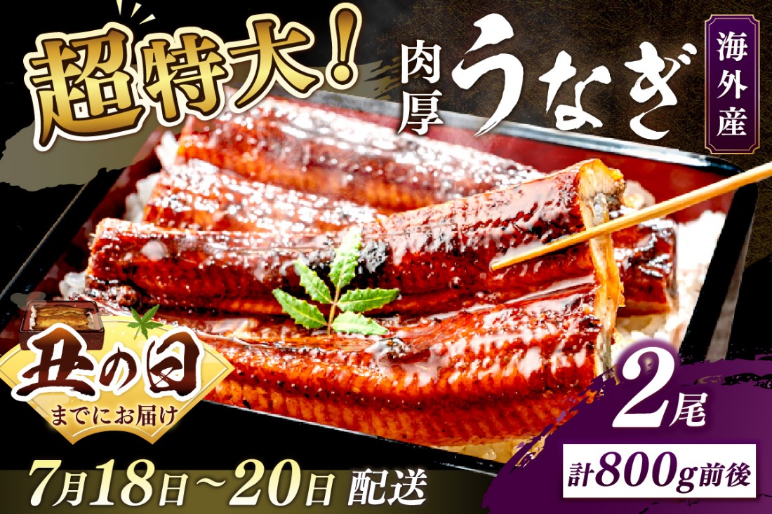 【7月18～20日配送】超特大！ふっくら肉厚！うなぎ蒲焼 2尾 合計800g前後　YK00403_01