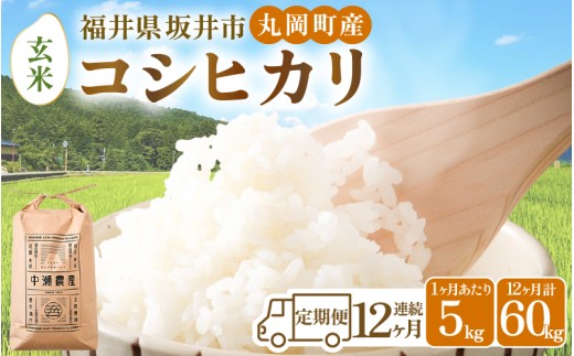 【令和8年産・新米】【12ヶ月連続お届け】福井県坂井市丸岡町産 コシヒカリ5kg×12回 計60kg（玄米） [K-11303_02]
