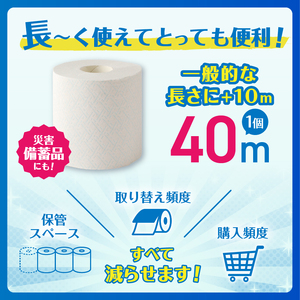 1.3倍巻き トイレットペーパー ダブル プレミアムシンラ 24ロール (12R×2パック) 生活用品 富士市 [sf001-270]