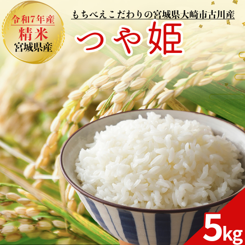 令和7年産 新米 大崎市古川産つや姫 5kg｜精米 お米 白米 こめ コメ ご飯 ごはん 大崎市産 宮城県産 ブランド米 送料無料｜mb010-5kg-r7