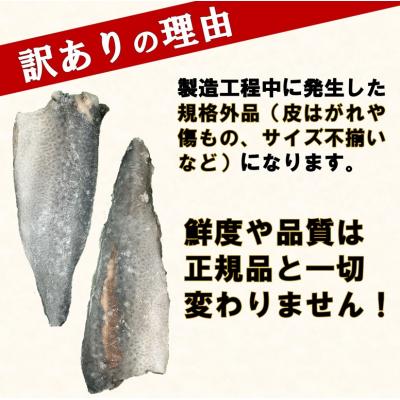 ふるさと納税 普代村 【訳あり】 三陸産 骨取り サバ フィレ 半身 無塩 約1kg(4〜7枚入り) 冷凍 |  | 01