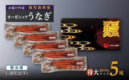 泰正オーガニックうなぎ蒲焼　特大5尾