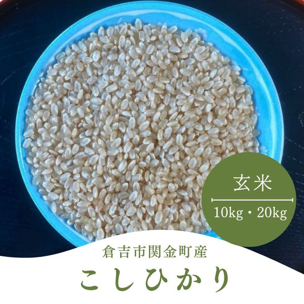 【ふるさと納税】コシヒカリ 玄米 10kg～20kg 令和7年産 新米 お米 米 こめ コメ こしひかり コシヒカリ ご飯 ごはん 鳥取県 倉吉市産