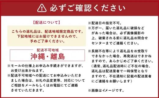 [ 定期1ヶ月毎6回 ] 会津ブランド馬刺し ( モモ 100g × 2 個 ) 自家製万能しょうゆ付き 馬刺し 馬肉 馬 お肉 肉 ニク にく ヘルシー 高タンパク 低カロリー 赤身 刺身 真空パッ