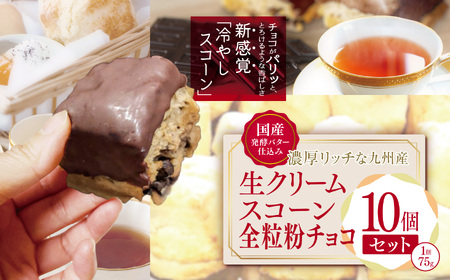 国産発酵バター香る濃厚リッチな九州産生クリームスコーン 全粒粉チョコ10個セット | お菓子 菓子 おかし 洋菓子 焼き菓子 イギリス菓子 スコーン チョコ 生クリーム 生クリームスコーン 全粒粉 全粒粉チョコ 手作り おやつ デザート スイーツ ティータイム カフェスイーツ 大分県 中津市