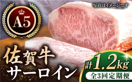 【全3回定期便】佐賀牛 サーロイン ステーキ 200g×2枚【肉の三栄】霜降り 黒毛和牛 牛肉[HAA060] 佐賀牛 牛肉 霜降り 佐賀牛 牛肉 サーロイン 佐賀牛 牛肉 佐賀産 牛肉 サーロインステーキ 佐賀牛 牛肉 焼肉 佐賀牛 牛肉 佐賀 佐賀牛 牛肉 国産 佐賀牛 牛肉 佐賀県産 佐賀牛 牛肉 A5 佐賀牛 牛肉 冷凍 佐賀牛 牛肉 冷凍発送 佐賀牛 牛肉 冷凍配送 佐賀牛 牛肉 ステーキ肉 佐賀牛 牛肉 牛肉 佐賀牛 牛肉 肉 定期便