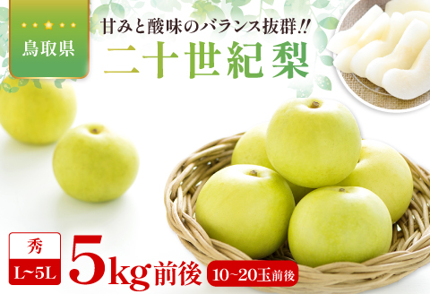二十世紀梨　秀5kg前後