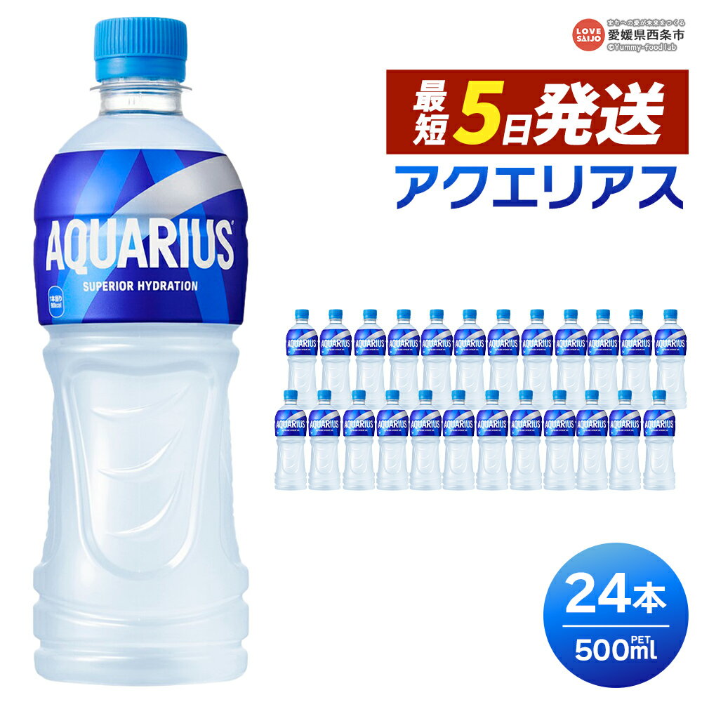【ふるさと納税】＜アクエリアス 500ml×24本＞ ※最短5営業日で出荷します。スピード発送 選べる 配送回数 1回 2回 3回 定期便 単品 コカ・コーラ ペットボトル PET スポーツドリンク スポドリ 水分補給 熱中症対策 夏バテ 清涼飲料水 ソフトドリンク 愛媛県 西条市【常温】