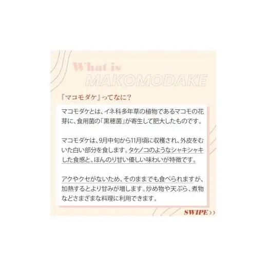 【2026年 先行予約】完全自然栽培マコモダケ 約1kg 【2026年9月中旬～発送予定】|マコモダケ まこもだけ マコモ たけのこ トウモロコシ 長野県 塩尻市