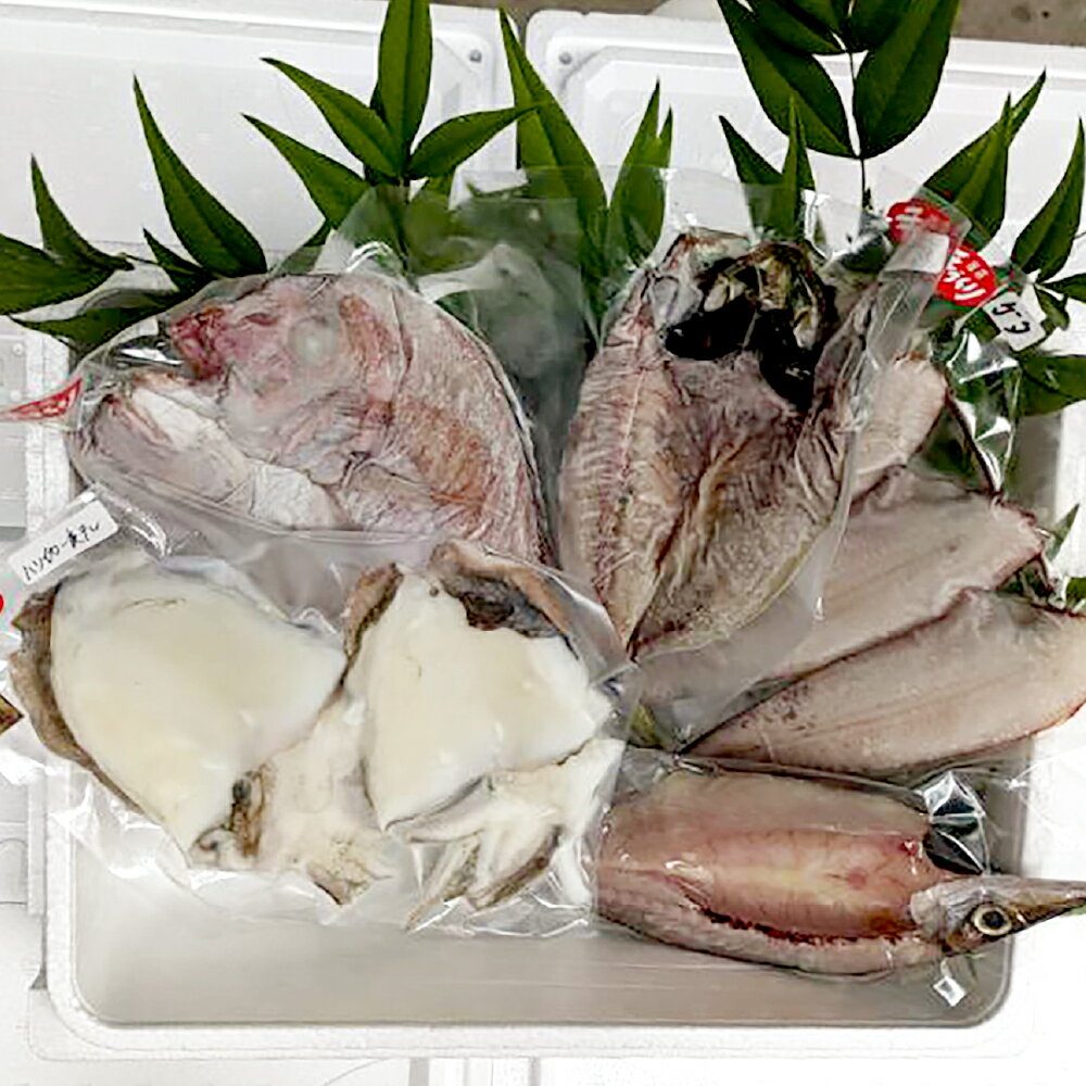 【ふるさと納税】【倉敷市下津井産】おまかせ一夜干し 4種 5点セット 天然鯛 タイ いか カマス ゲタ カレイ クロメバル アコウ 魚 さかな 魚介類 水産物 海産物 ひもの 干物 冷凍 岡山県産 国産 岡山県 倉敷市 送料無料