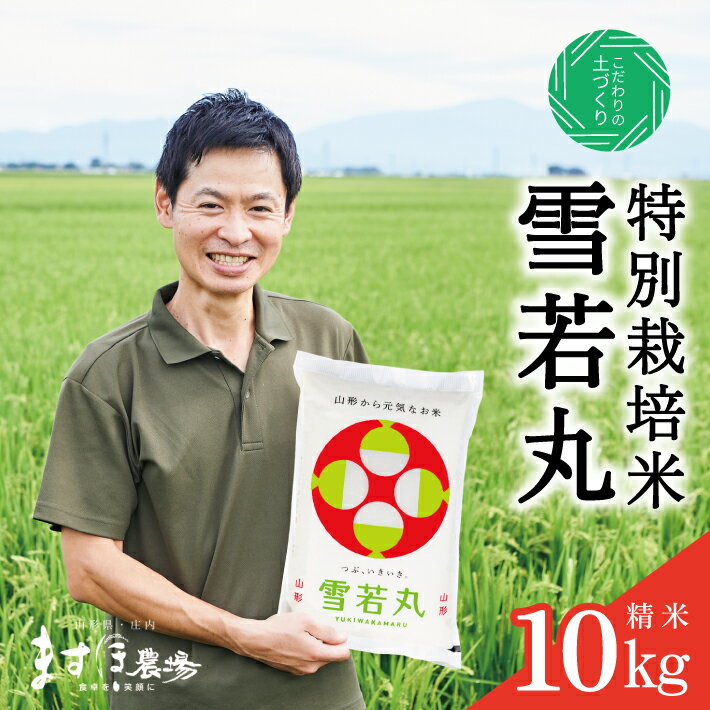 【ふるさと納税】≪新米予約≫ 雪若丸 精米 計10kg 5kg×2袋 特別栽培米 令和7年産 山形県酒田産 ご希望時期頃お届け 米 白米 お米 庄内米 ブランド米 ご飯 ごはん 東北 酒田市 庄内地方 庄内平野 農家直送 産地直送