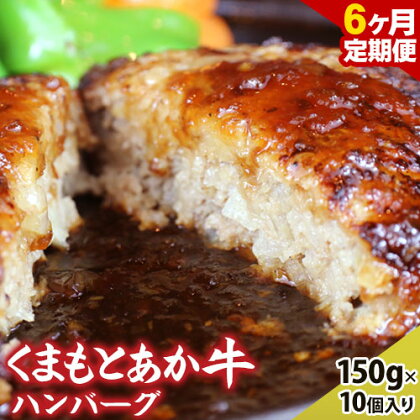 【6ヶ月定期便】熊本県産 あか牛 ハンバーグ 10個 南阿蘇L（阿蘇牧場） 《お申込み月の翌月より発送開始》 定期 計6回お届け 牛肉 肉---sms_fmshbtei_r7_73000_mo6num1---